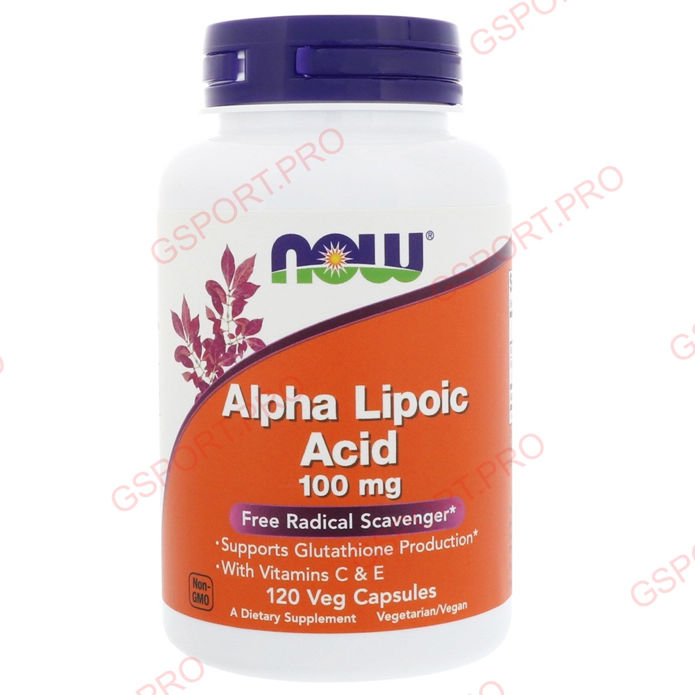 NOW Foods Alpha Lipoic Acid (100mg)